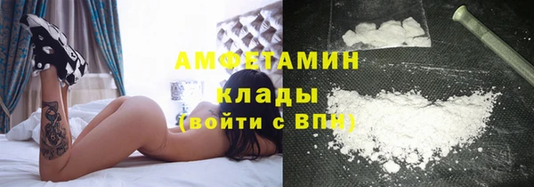 винт Верея