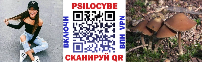 Купить закладки  Вилюйск  Галлюциногенные грибы ЛСД 